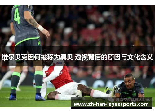 维尔贝克因何被称为黑贝 透视背后的原因与文化含义 维尔贝克因何被称为黑贝 透视背后的原因与文化含义