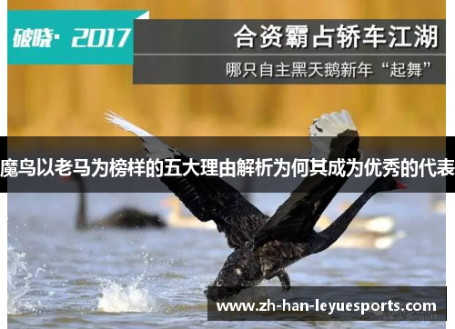 魔鸟以老马为榜样的五大理由解析为何其成为优秀的代表