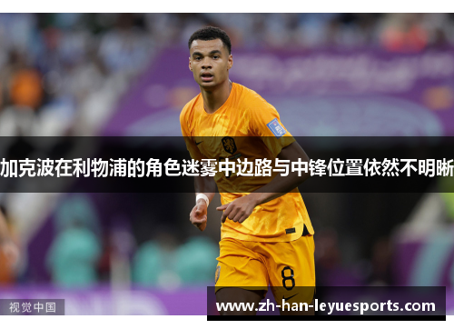 加克波在利物浦的角色迷雾中边路与中锋位置依然不明晰 加克波在利物浦的角色迷雾中边路与中锋位置依然不明晰
