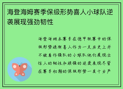 海登海姆赛季保级形势喜人小球队逆袭展现强劲韧性